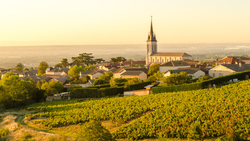 vigneron Chalon-sur-Saône