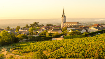 Un vigneron indépendant passionné qui a repris un domaine vieux de 200 ans 